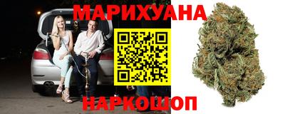 индика Кандалакша