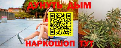 индика Кандалакша